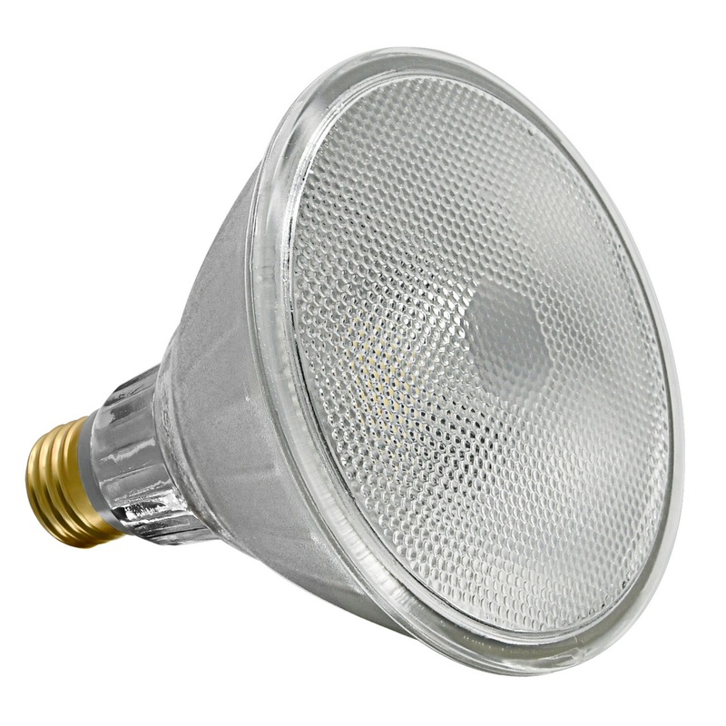 LED Bulbs Light Bulb