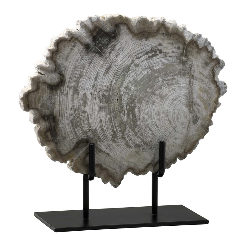 Petrified Wood Sculpture in Oak