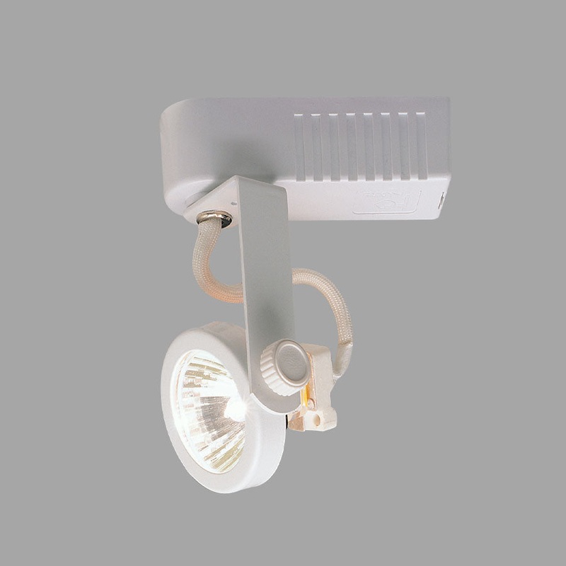 Track Gimbal Ring in White