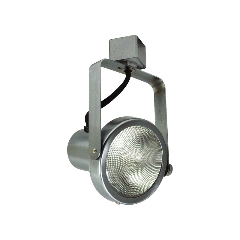 Track Gimbal Par30 Natural W/ ``L`` Ad in Natural Metal