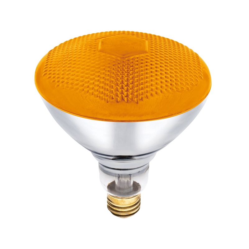 Light Bulb Light Bulb in Amber