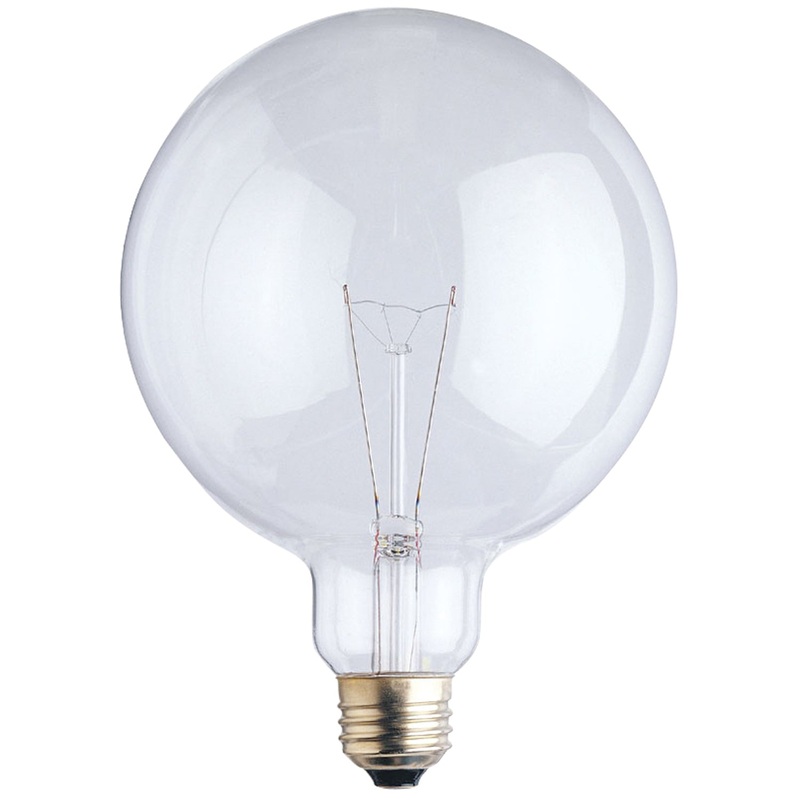 Light Bulb Light Bulb in Clear