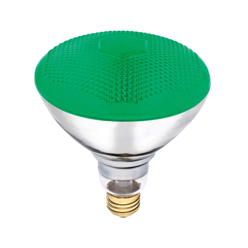 Light Bulb Light Bulb in Green