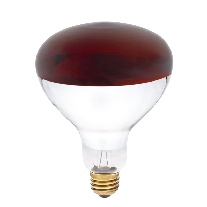 Light Bulb Light Bulb in Red