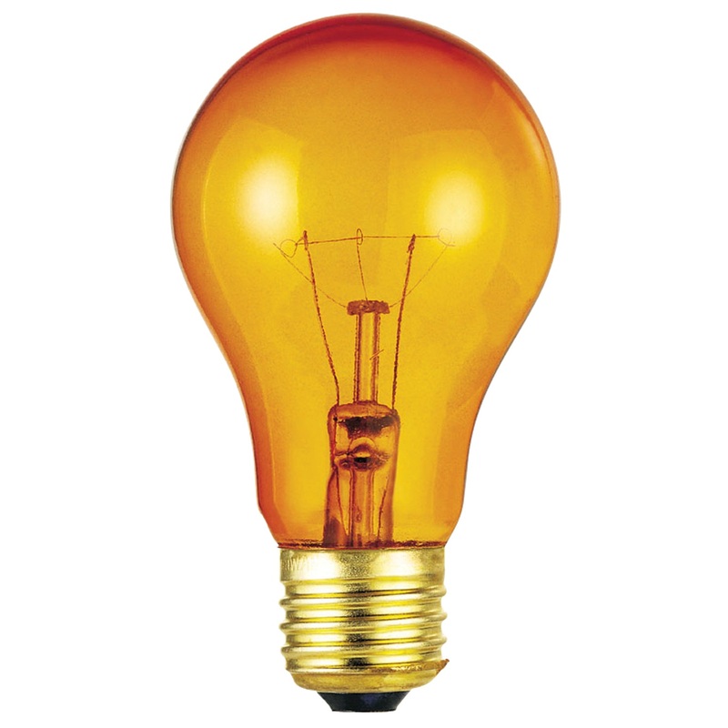 Light Bulb Light Bulb in Transparent Amber