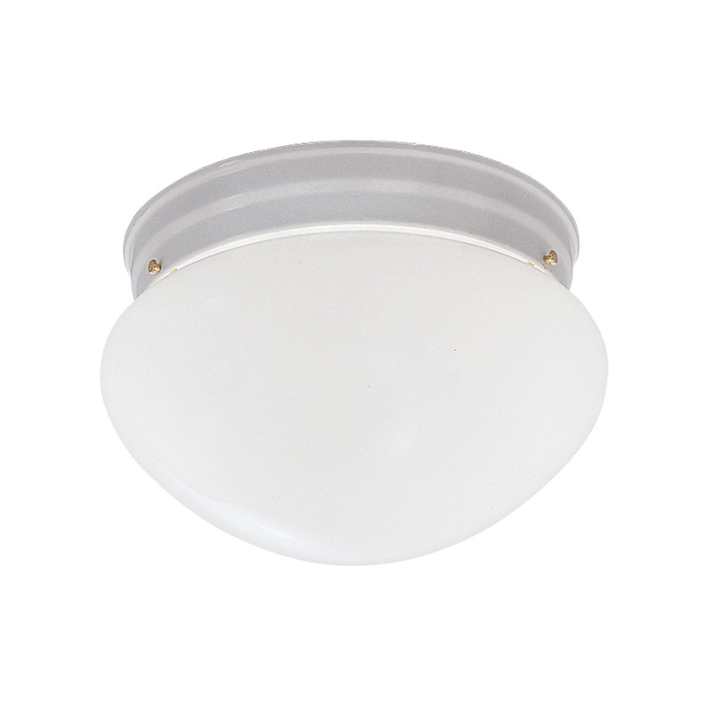 Basic Flushmount Two Light Flushmount in White