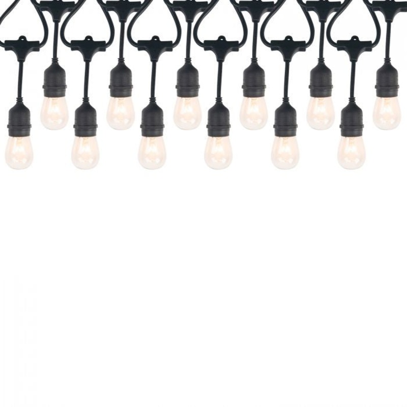 String Lights 24` Incandescent including 12 bulbs in Flat Black