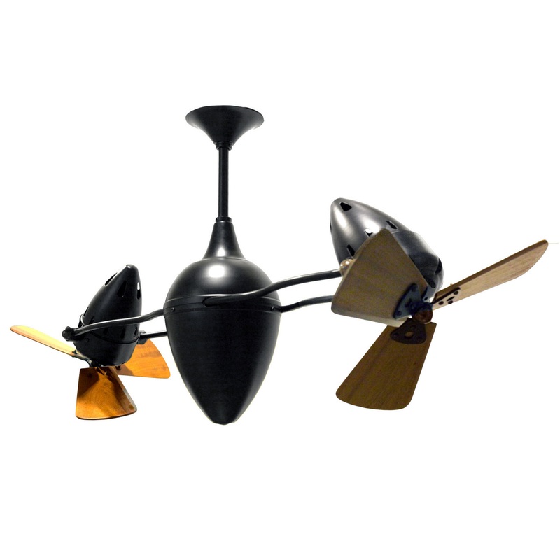 Ar Ruthiane 48``Ceiling Fan in Matte Black