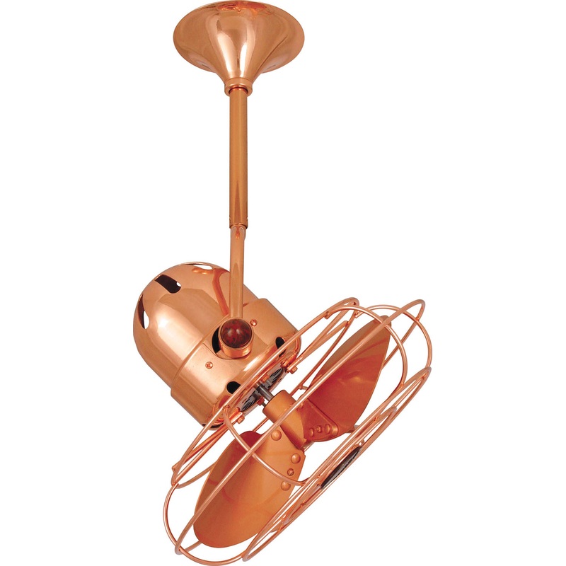Bianca Direcional 16``Ceiling Fan in Polished Copper
