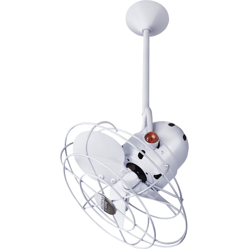 Bianca Direcional 16``Ceiling Fan in Gloss White