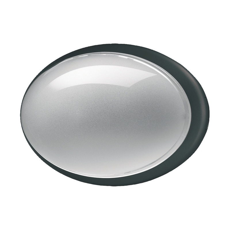 Class Oval One Light Wall Sconce in Black