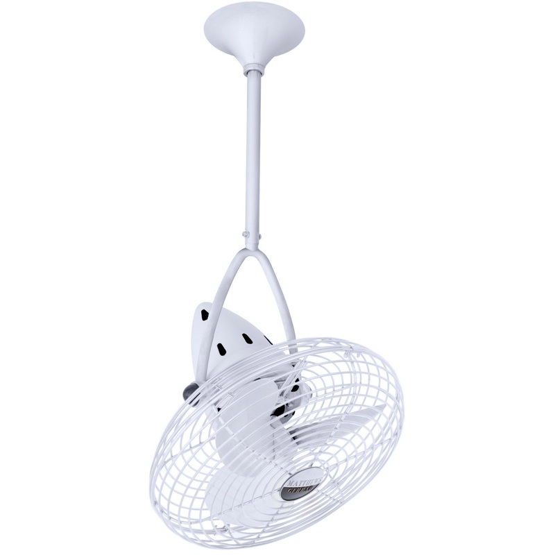 Jarold Direcional 16``Ceiling Fan in Gloss White