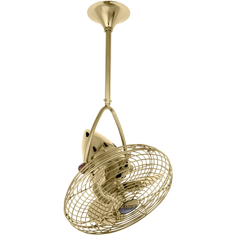 Jarold Direcional 16``Ceiling Fan in Polished Brass