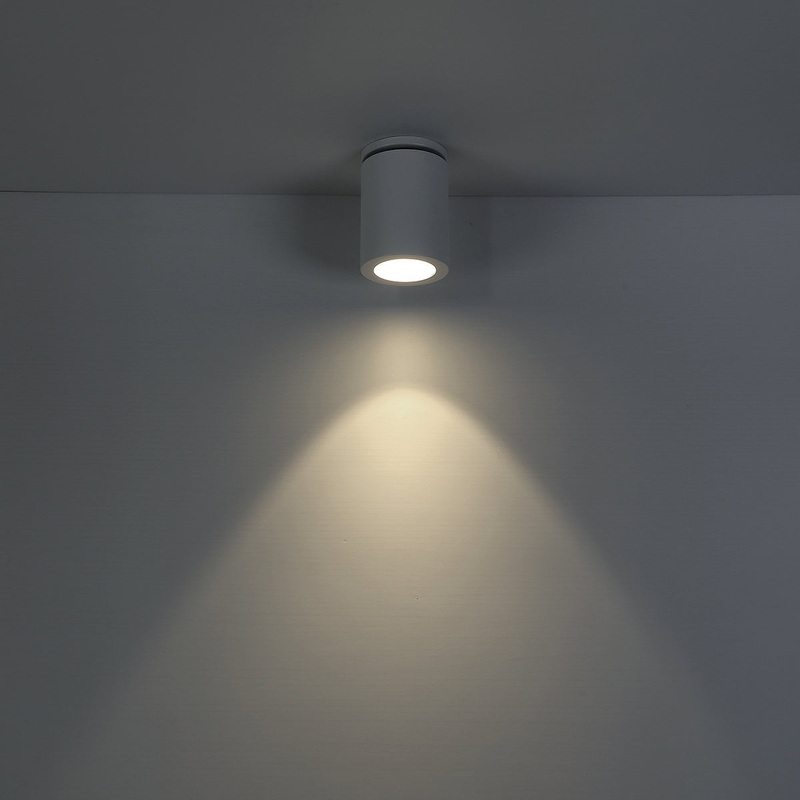 Lotus LED Flush Mount in White