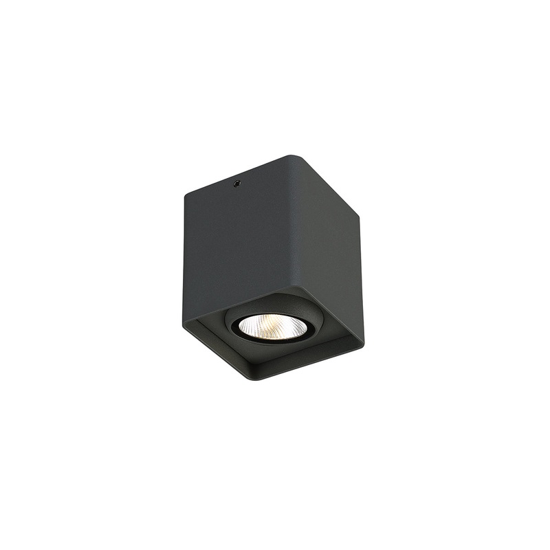 Outdoor LED Outdoor Wall Mount in Graphite Grey