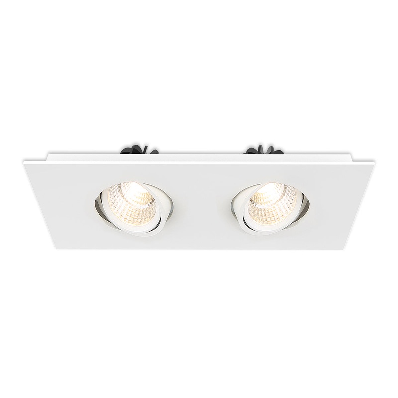 Two Light Downlight in White