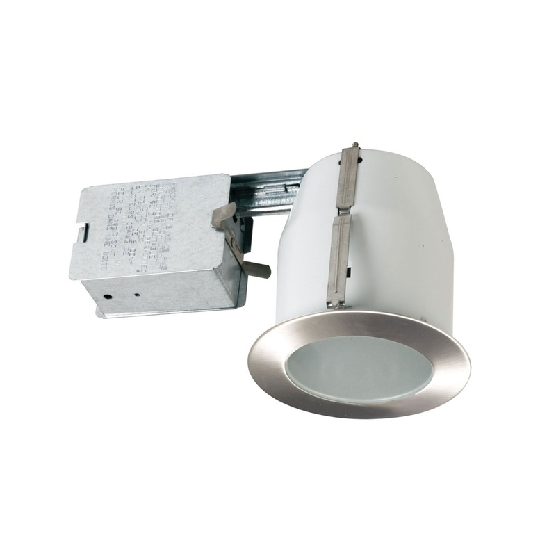 Hsng/Trim Kit Par 20 Shower in Satin Nickel